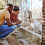 Tierheimsponsoring in Krisenzeiten: Wenn Tierheime an ihre Grenzen stoßen