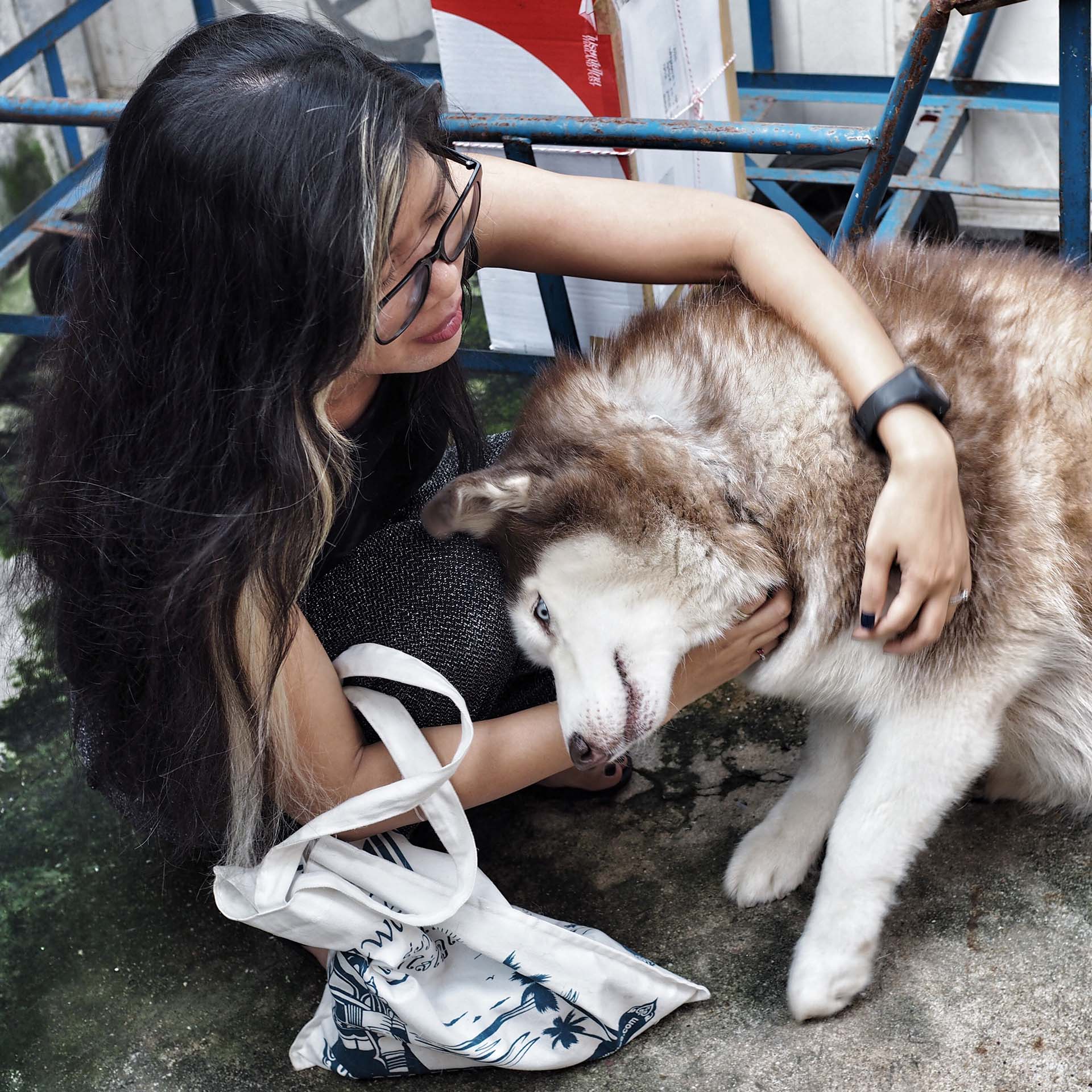Geheimtipp Gründüngung: Dörthe Priesmeier berichtet, wie der Boden natürlich aufgewertet werden kann